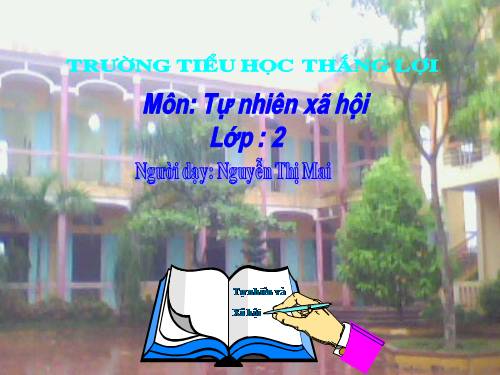 Bài 28. Một số loài vật sống trên cạn
