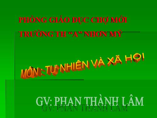 Bài 29. Một số loài vật sống dưới nước