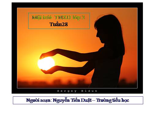 Bài 31. Mặt Trời