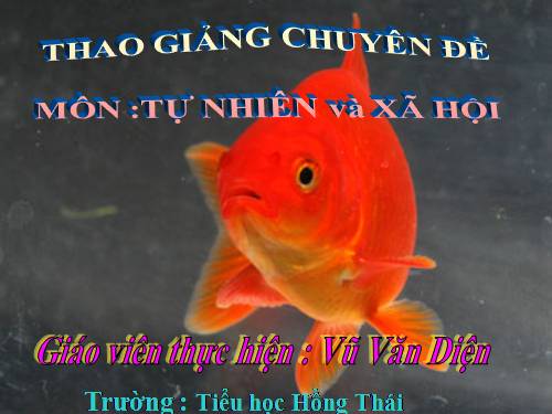Bài 29. Một số loài vật sống dưới nước