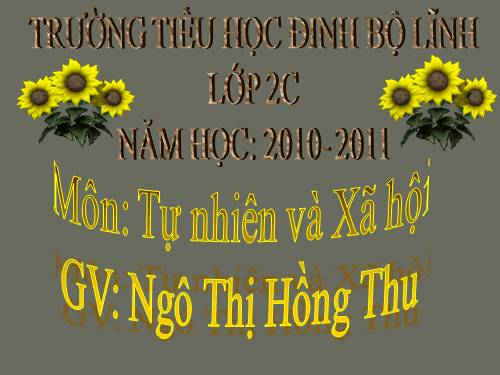 Bài 29. Một số loài vật sống dưới nước