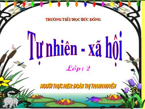 Bài 24. Cây sống ở đâu?