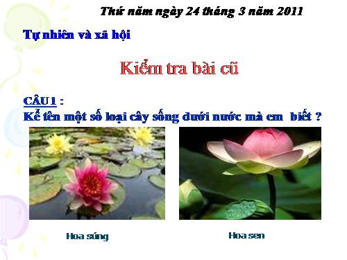 Bài 27. Loài vật sống ở đâu?