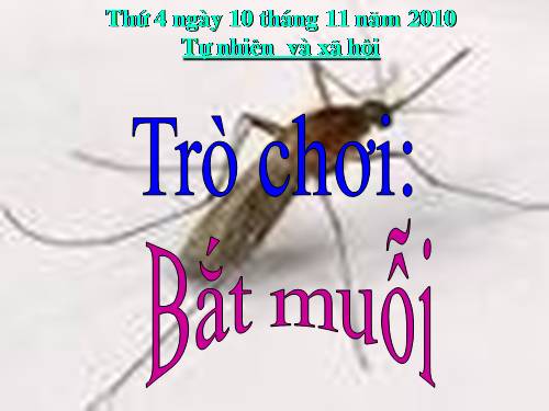 Bài 13. Giữ sạch môi trường xung quanh nhà ở