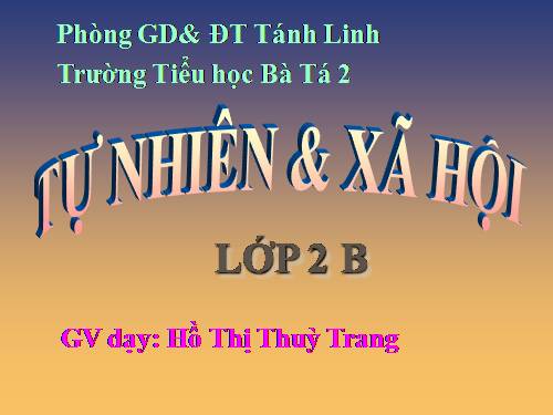 Bài 28. Một số loài vật sống trên cạn