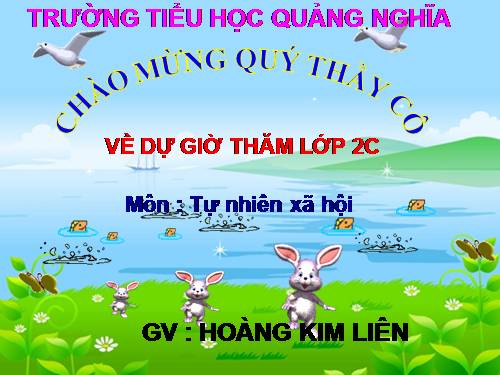Bài 27. Loài vật sống ở đâu?