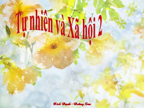 Bài 26. Một số loài cây sống dưới nước