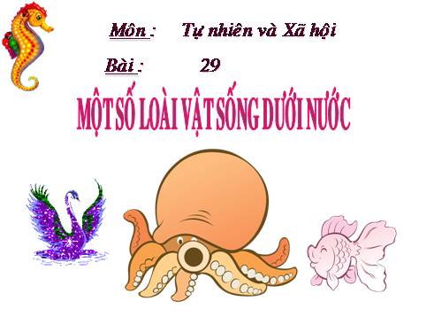Bài 29. Một số loài vật sống dưới nước