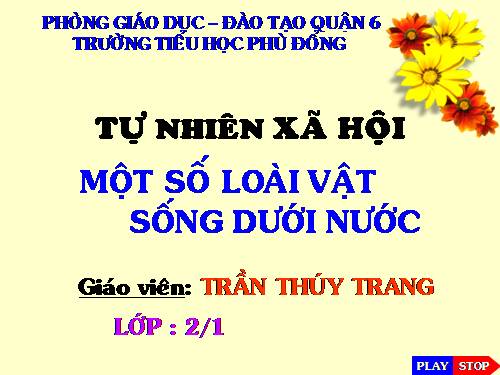 Bài 29. Một số loài vật sống dưới nước
