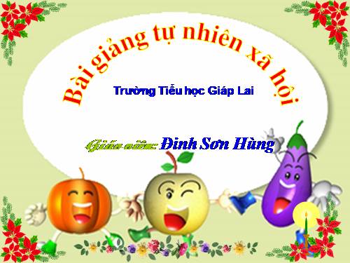 Bài 28. Một số loài vật sống trên cạn