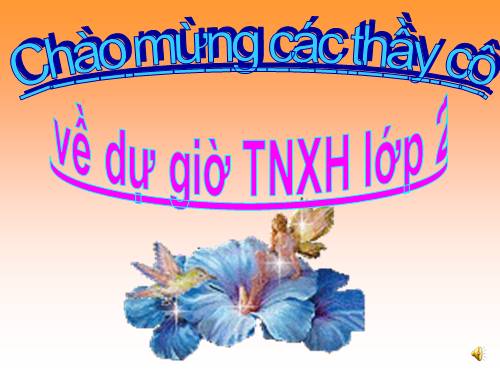 Bài 27. Loài vật sống ở đâu?