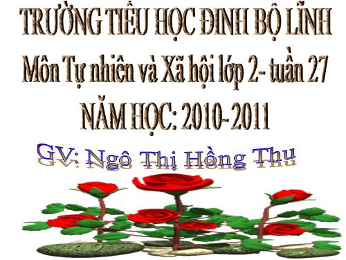 Bài 27. Loài vật sống ở đâu?