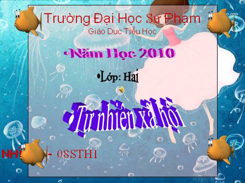 Bài 29. Một số loài vật sống dưới nước