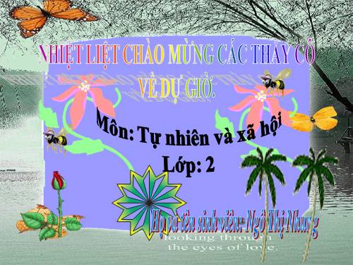 Bài 29. Một số loài vật sống dưới nước