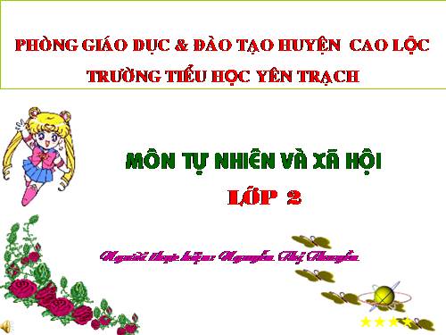 Bài 33. Mặt Trăng và các vì sao