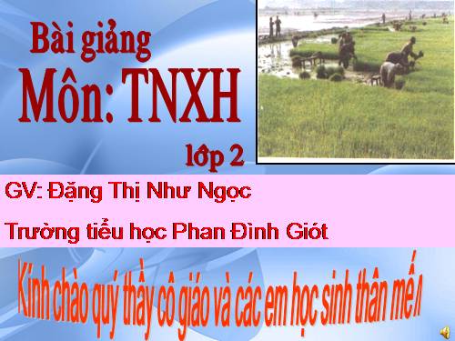 Bài 21. Cuộc sống xung quanh