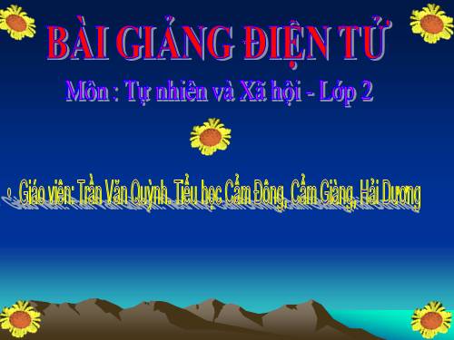 Bài 27. Loài vật sống ở đâu?