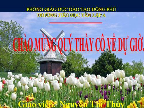 Bài 26. Một số loài cây sống dưới nước