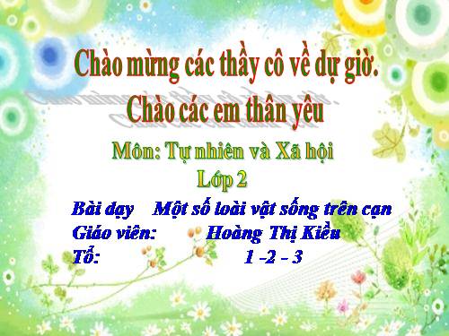 Bài 28. Một số loài vật sống trên cạn