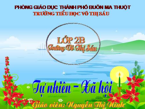 Bài 25. Một số loài cây sống trên cạn