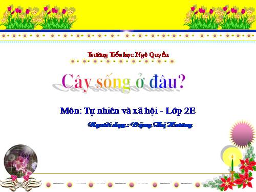 Bài 24. Cây sống ở đâu?