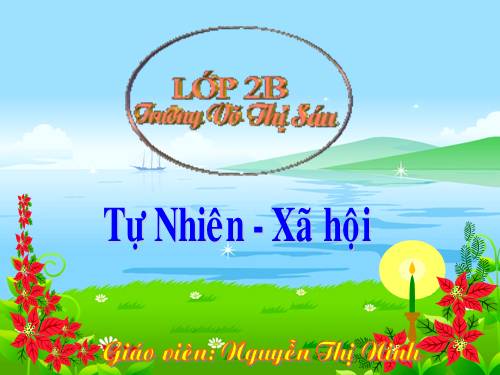 Bài 27. Loài vật sống ở đâu?