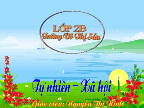 Bài 25. Một số loài cây sống trên cạn