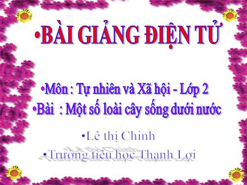 Bài 26. Một số loài cây sống dưới nước
