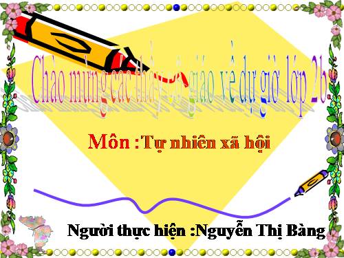 Bài 24. Cây sống ở đâu?