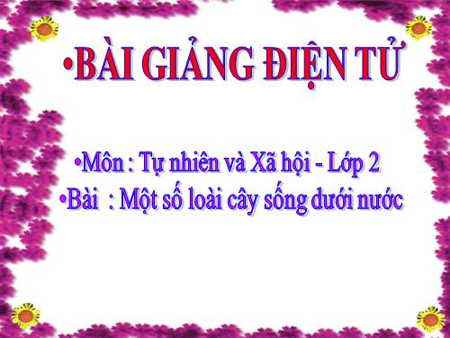 Bài 26. Một số loài cây sống dưới nước
