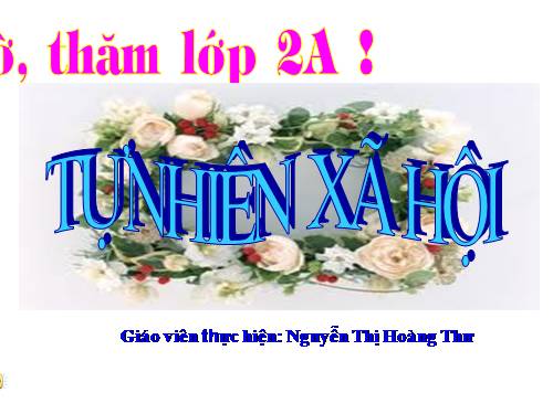 Bài 25. Một số loài cây sống trên cạn