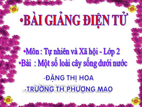 Bài 26. Một số loài cây sống dưới nước
