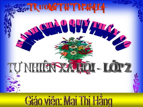 Bài 11. Gia đình