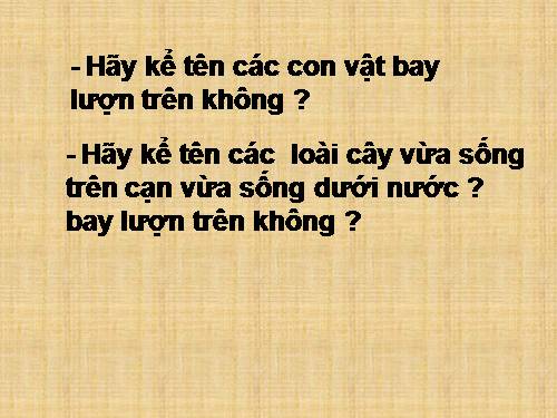 Bài 31. Mặt Trời