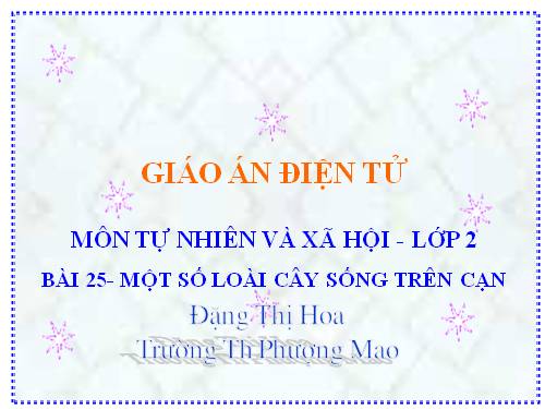 Bài 25. Một số loài cây sống trên cạn