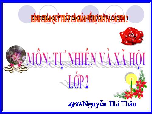 Bài 24. Cây sống ở đâu?