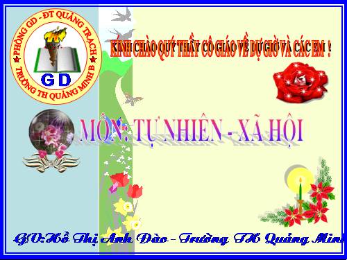 Bài 24. Cây sống ở đâu?