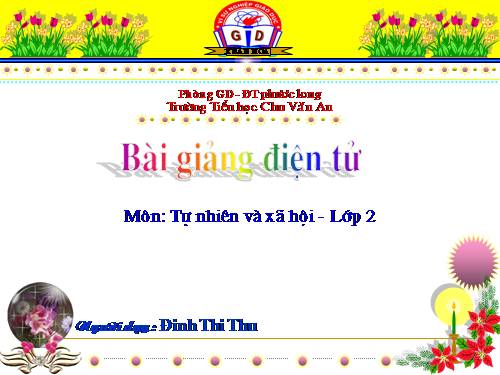 Bài 24. Cây sống ở đâu?