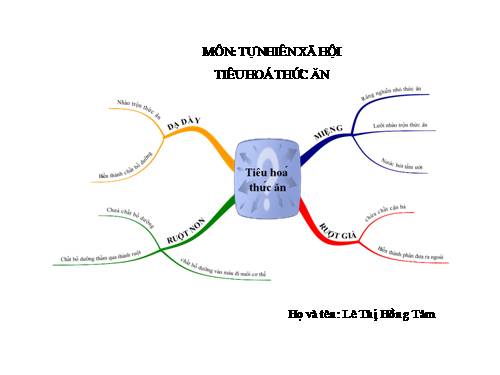 Bản đồ tư duyy bài:Tiêu hoá thức ăn
