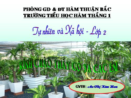 Bài 24. Cây sống ở đâu?