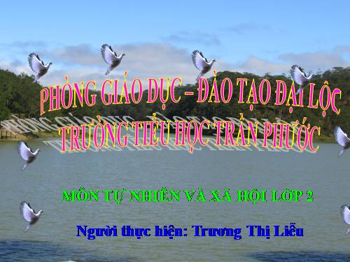 Bài 19. Đường giao thông