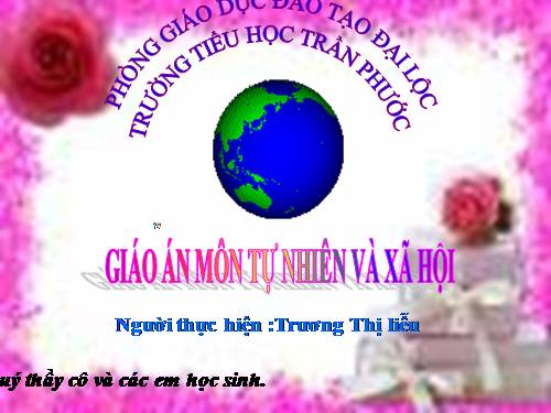 Bài 14. Phòng tránh ngộ độc khi ở nhà