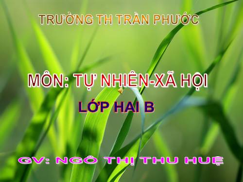 Bài 19. Đường giao thông