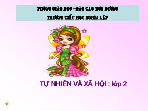 Bài 15. Trường học