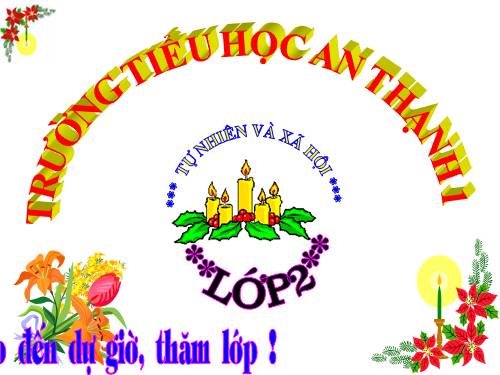 Bài 9. Đề phòng bệnh giun