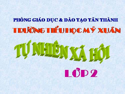 Bài 24. Cây sống ở đâu?