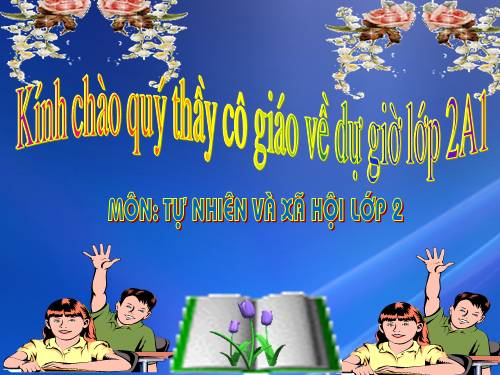 Bài 24. Cây sống ở đâu?
