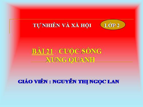 Bài 21. Cuộc sống xung quanh