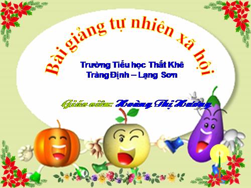 Bài 28. Một số loài vật sống trên cạn
