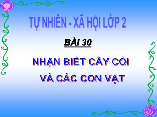 Bài 30. Nhận biết cây cối và các con vật